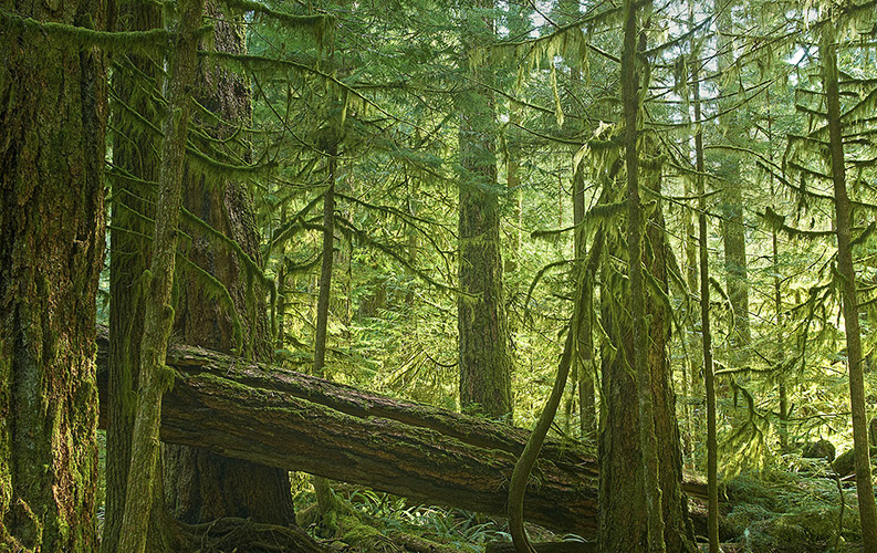 Vancouver Corporate Landscape Photography 13